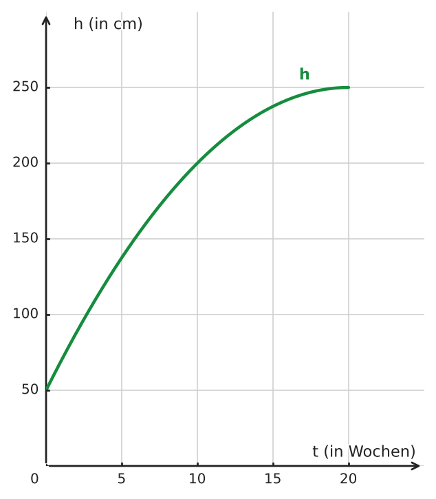 Abbildung zur Aufgabe 434151