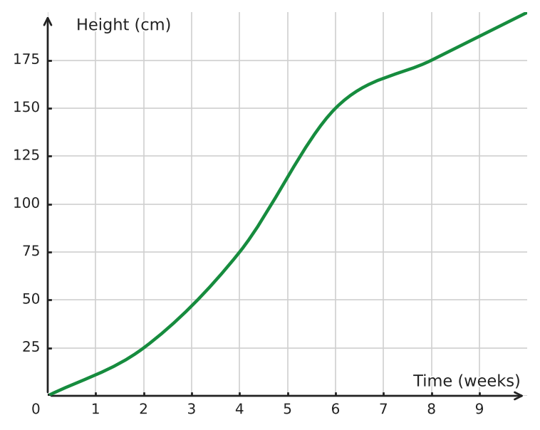 Figure for problem 534904