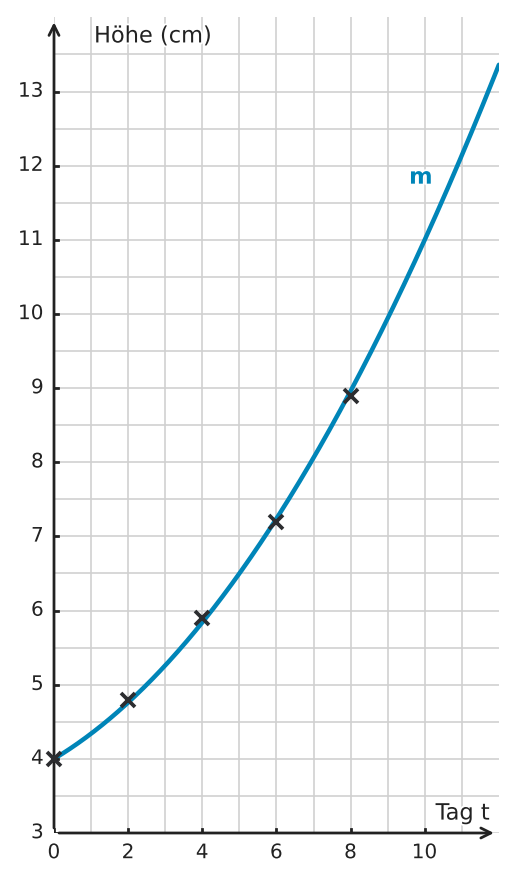Abbildung zur Aufgabe 552431